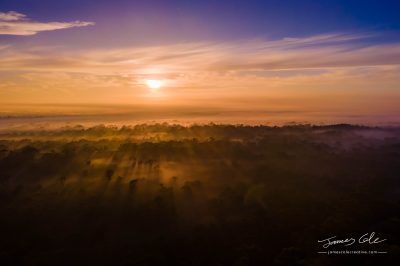 Sunrise shining golden rays through the early morning fog softly blanketing a prehistoric landscape