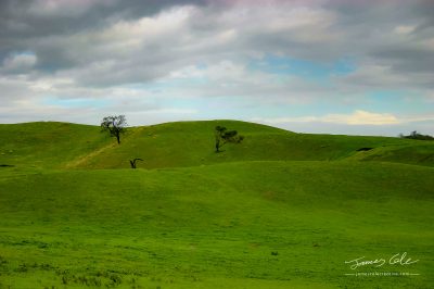 JCCI-100078 - Rolling green hills covered in soft flowing grass