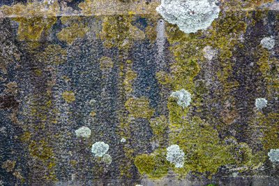JCCI-100097 - Lichen and moss textures and patterns on a grungy old gravestone