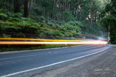 JCCI-100112 - Car lights streaking past on a quiet country road in the Australian rainforest
