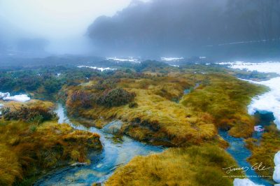 JCCI-100128 - Alpine streams cutting through a foggy landscape of grass and snow