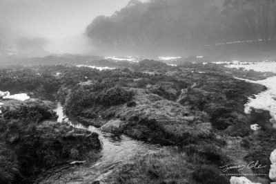 JCCI-100213 - Alpine streams cutting through a foggy landscape of grass and snow in black and white