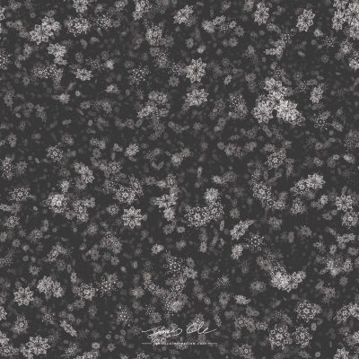 JCCI-100565 - Christmas Tiles - Grey Snowflakes