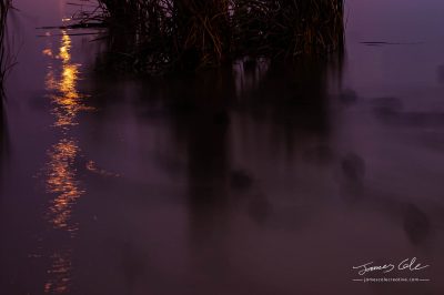 JCCI-100607 - Orange lights reflecting in the swampy grass filled river waters at night