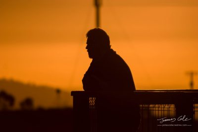 JCCI-100618 - Silhouette of man with beard at sunset leaning on fence looking out at view